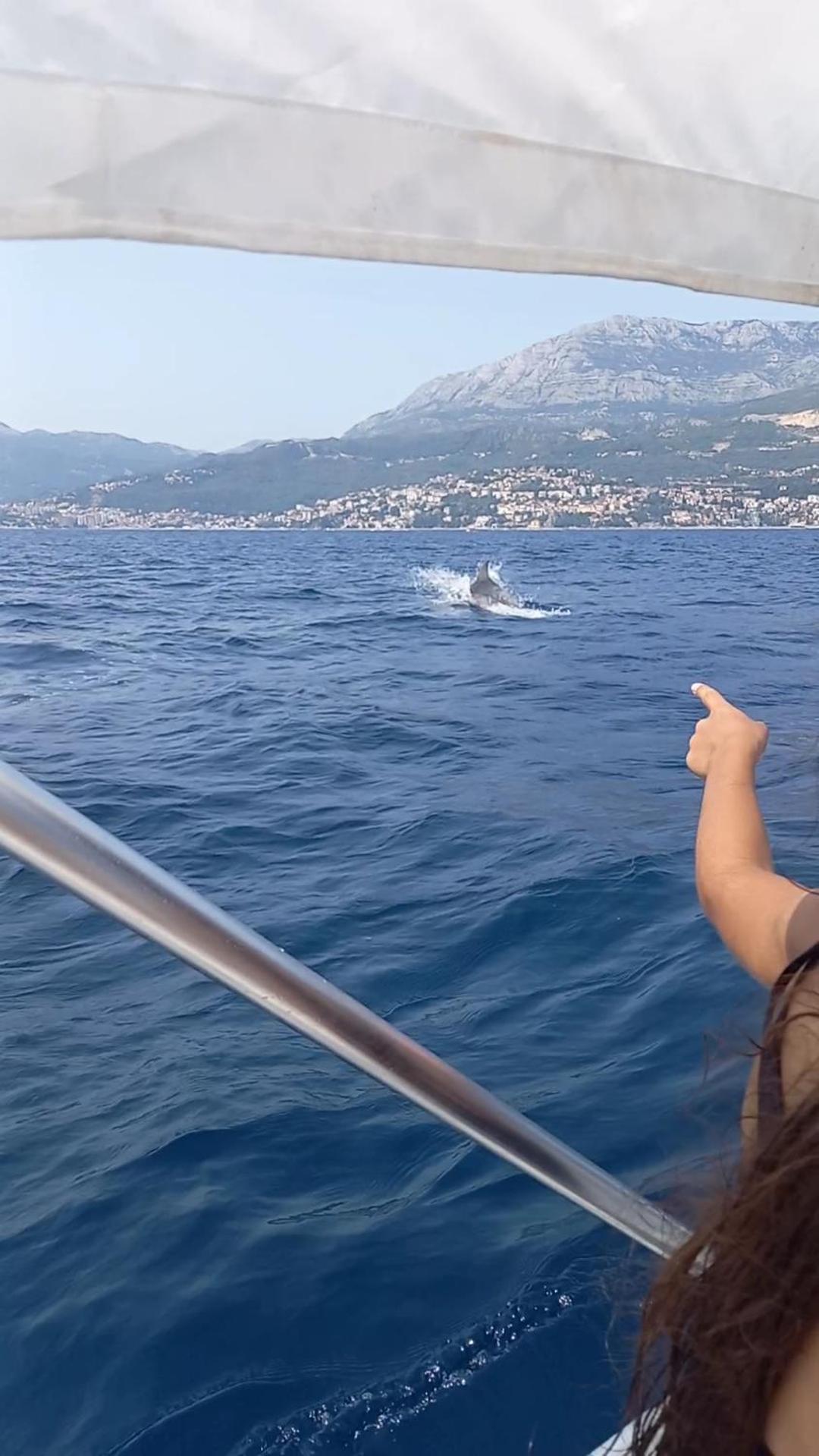 Apartmani Milena Herceg Novi Esterno foto